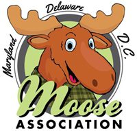 A moose wearing a sweater and standing in front of the words maryland, delaware, d. C., and maryland association